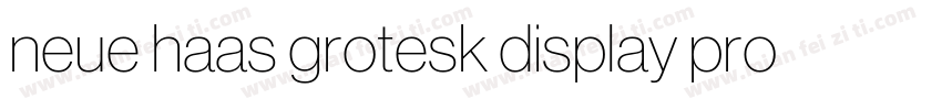neue haas grotesk display pro 45 Li字体转换